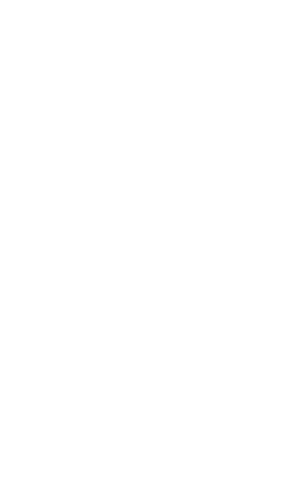 N-system